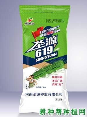 圣源619小麦品种好不好? 圣源619小麦品种好不好?