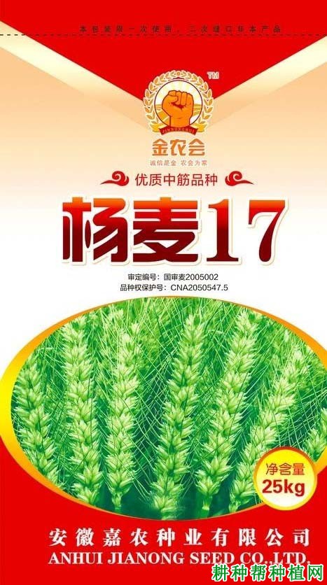 扬麦17小麦品种好不好? 扬麦17小麦品种好不好?