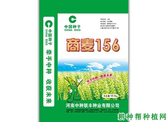 商麦156小麦品种好不好? 商麦156小麦品种好不好?