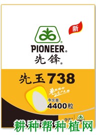 先玉738玉米品种好不好? 先玉738玉米品种好不好?
