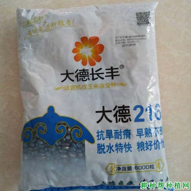 大德216玉米品种好不好? 大德216玉米品种好不好?