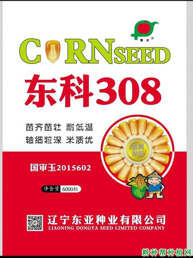 东科308玉米品种好不好? 东科308玉米品种好不好?