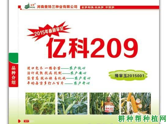 亿科209玉米品种好不好? 亿科209玉米品种好不好?