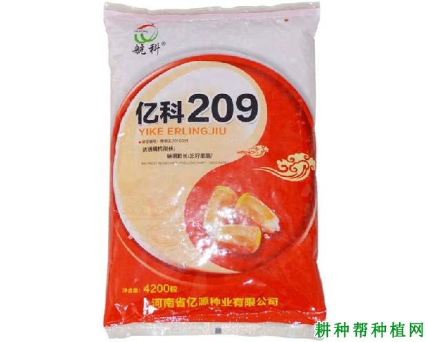 亿科209玉米品种好不好? 亿科209玉米品种好不好?
