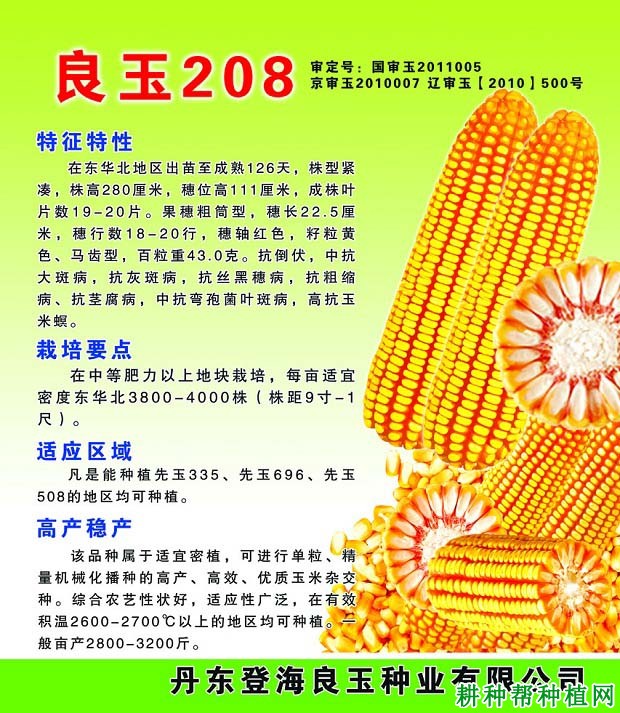 良玉208玉米品种好不好? 良玉208玉米品种好不好?