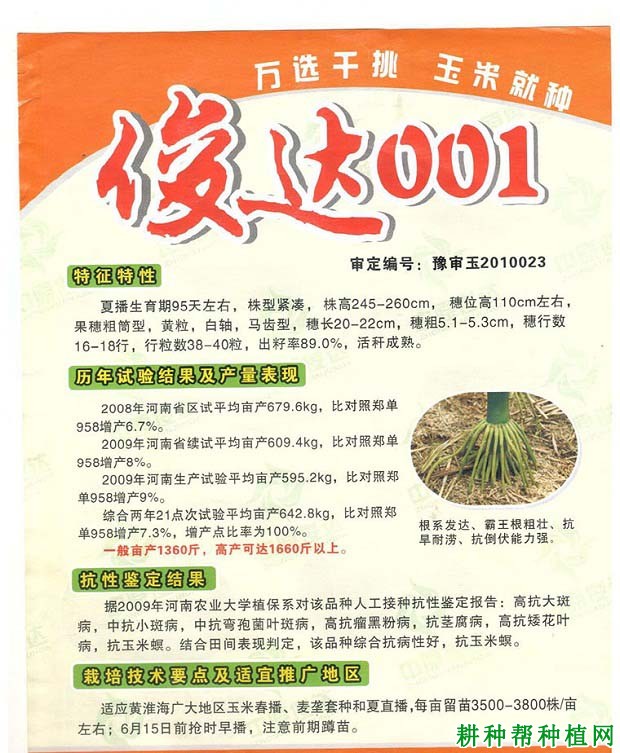 俊达001玉米品种好不好? 俊达001玉米品种好不好?