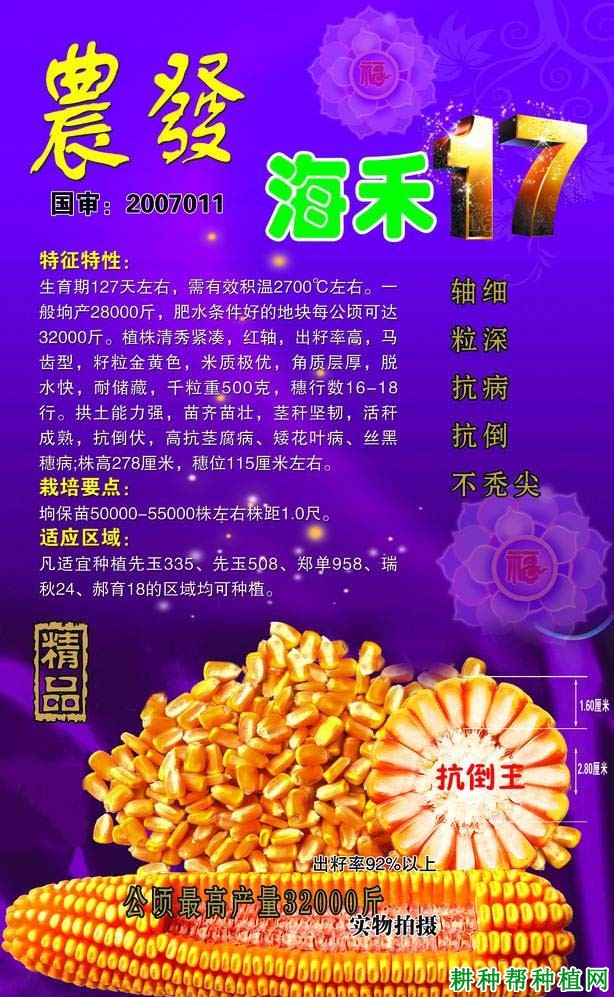 海禾17玉米品种好不好? 海禾17玉米品种好不好?
