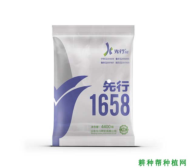 先行1658玉米品种好不好? 先行1658玉米品种好不好?