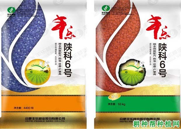 陕科6号玉米品种好不好? 陕科6号玉米品种好不好?