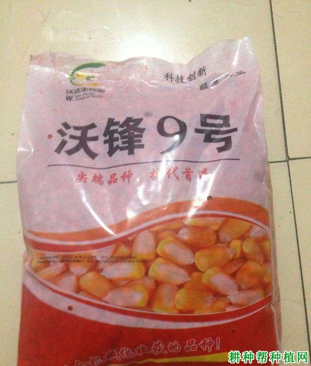 沃锋9号玉米品种好不好? 沃锋9号玉米品种好不好?