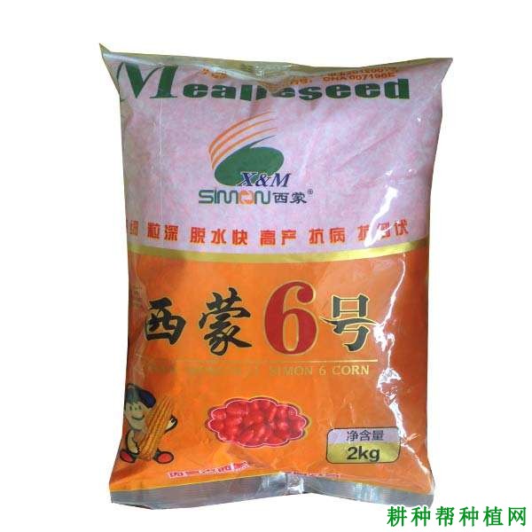 西蒙6号玉米品种好不好? 西蒙6号玉米品种好不好?