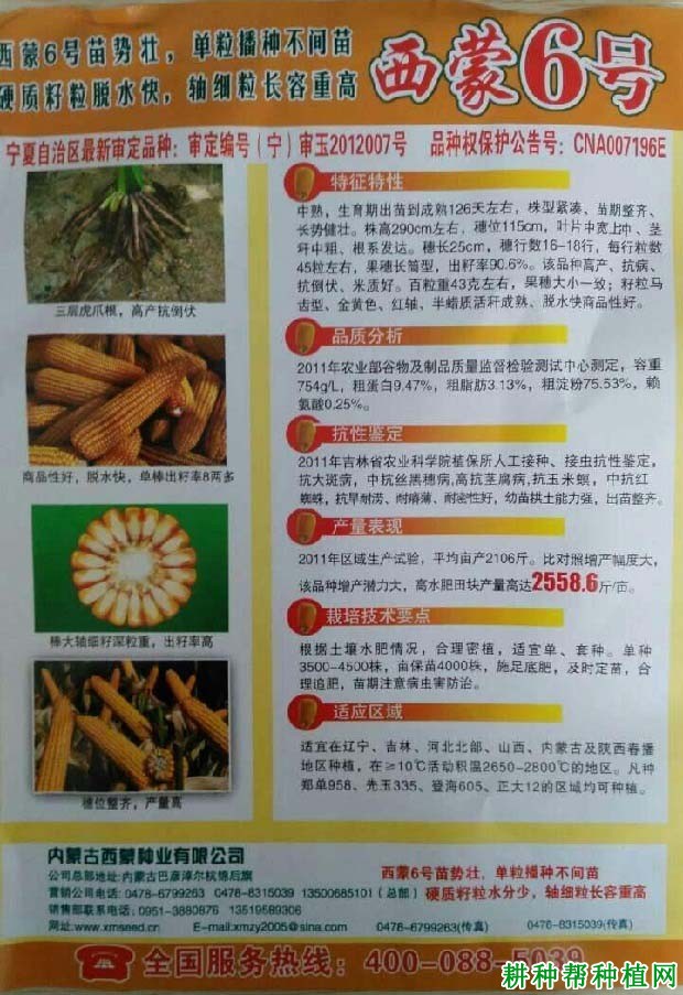 西蒙6号玉米品种好不好? 西蒙6号玉米品种好不好?