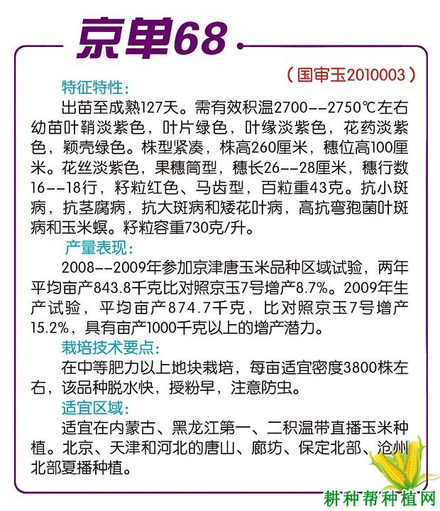 京单68玉米品种好不好? 京单68玉米品种好不好?
