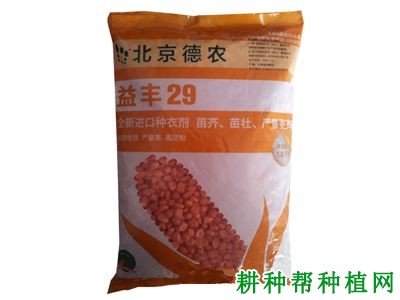 益丰29号玉米品种好不好? 益丰29号玉米品种好不好?