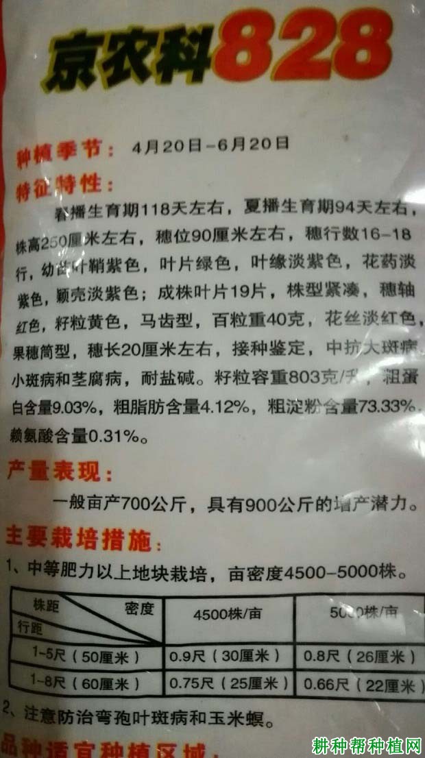 京农科828玉米品种好不好? 京农科828玉米品种好不好?