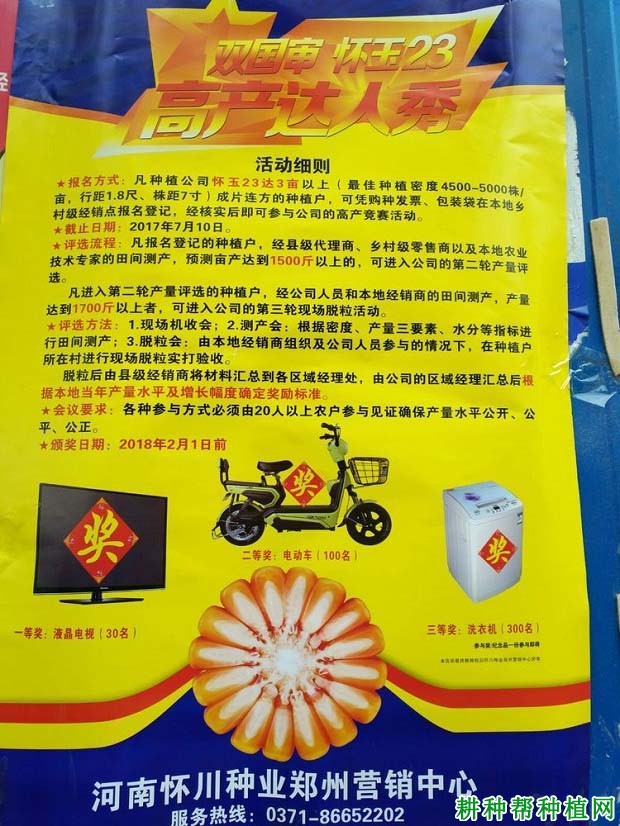 怀玉23玉米品种好不好? 怀玉23玉米品种好不好?