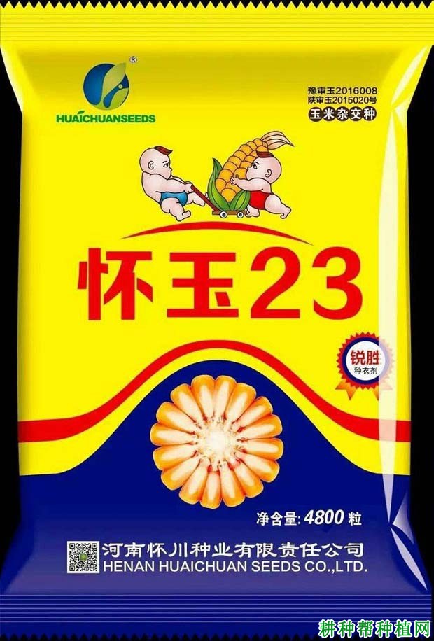 怀玉23玉米品种好不好? 怀玉23玉米品种好不好?