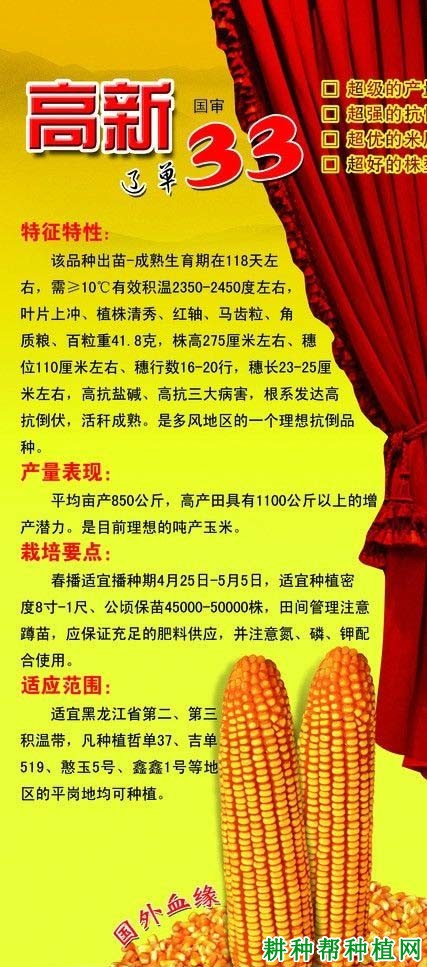 辽单33号玉米品种好不好? 辽单33号玉米品种好不好?