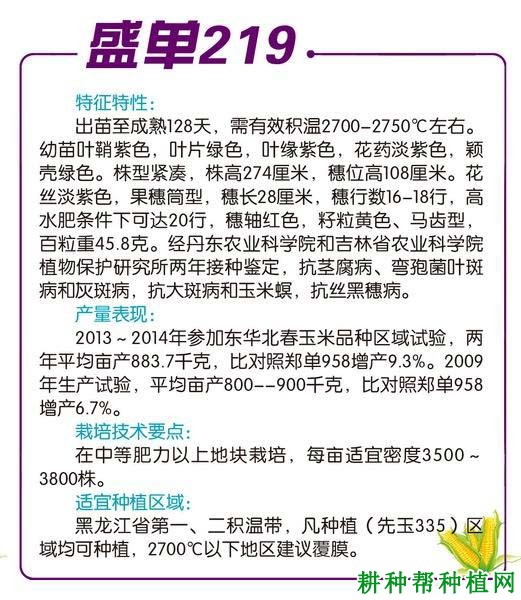 盛单219玉米品种好不好? 盛单219玉米品种好不好?