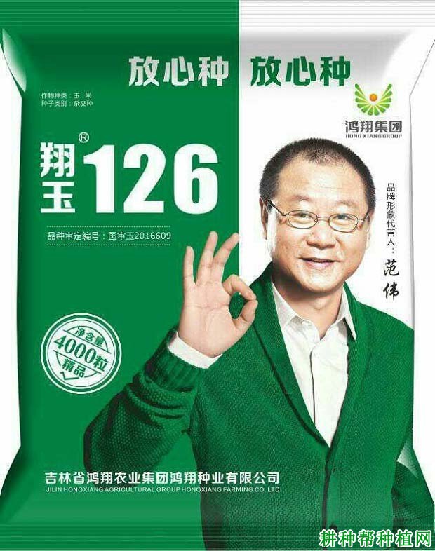 秋乐126玉米品种好不好? 秋乐126玉米品种好不好?
