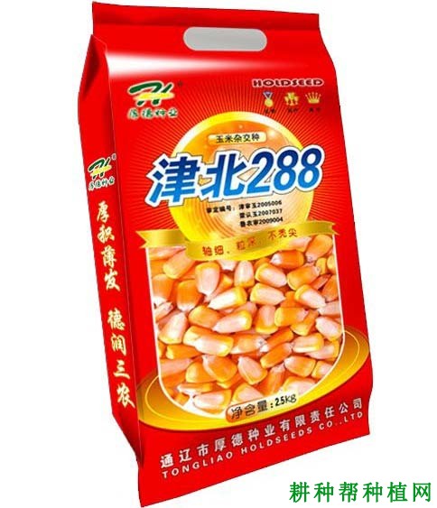 津北288玉米品种好不好? 津北288玉米品种好不好?