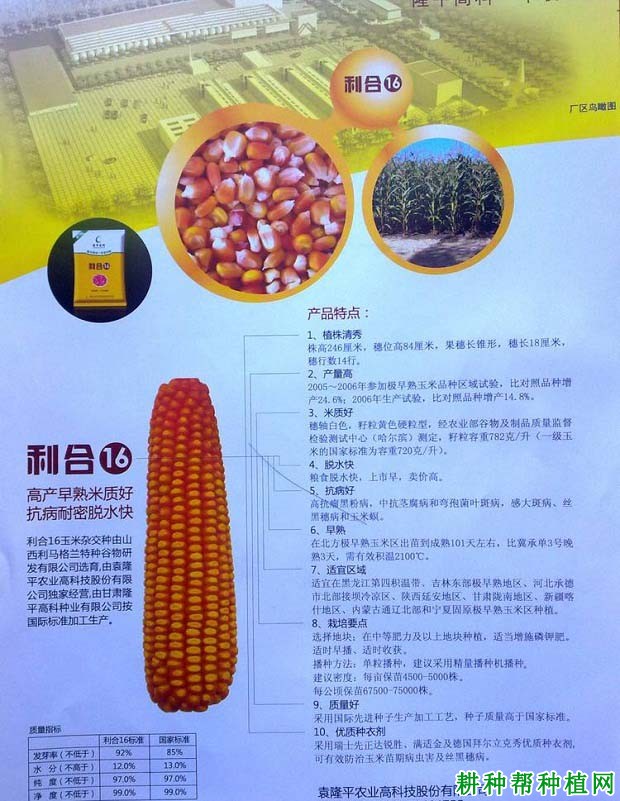 利合16玉米品种好不好? 利合16玉米品种好不好?