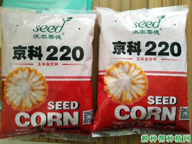 京科220玉米品种好不好? 京科220玉米品种好不好?