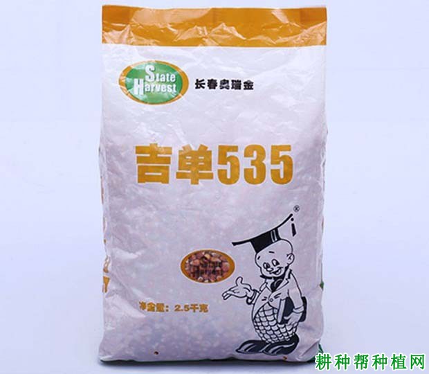 吉单535玉米品种好不好? 吉单535玉米品种好不好?