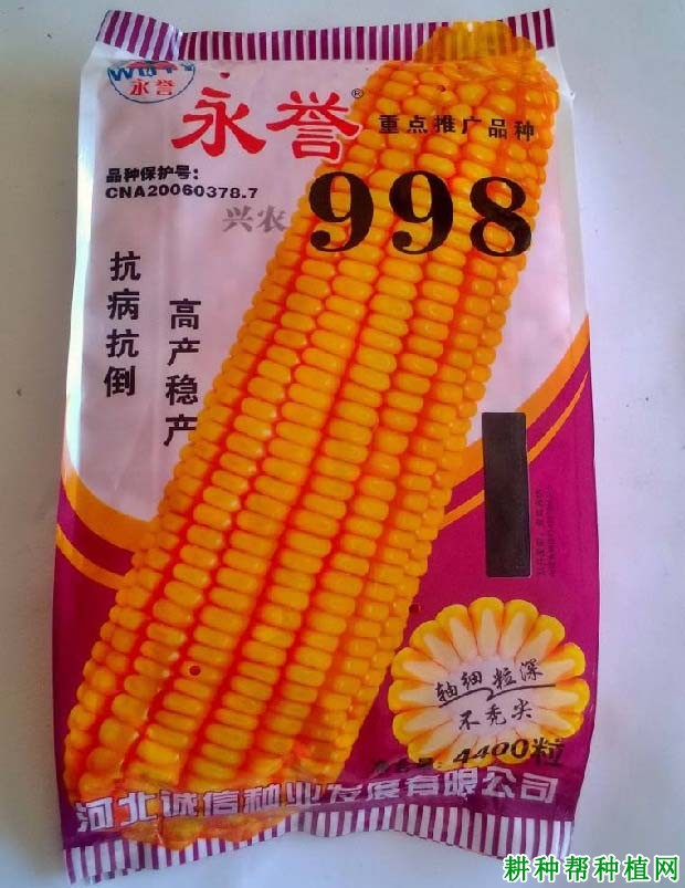兴农998玉米品种好不好? 兴农998玉米品种好不好?