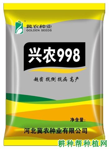 兴农998玉米品种好不好? 兴农998玉米品种好不好?