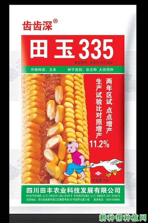 田玉335玉米品种好不好? 田玉335玉米品种好不好?