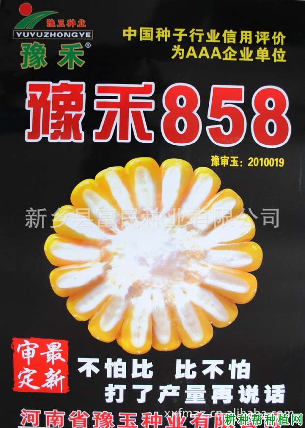 豫禾858玉米品种好不好? 豫禾858玉米品种好不好?