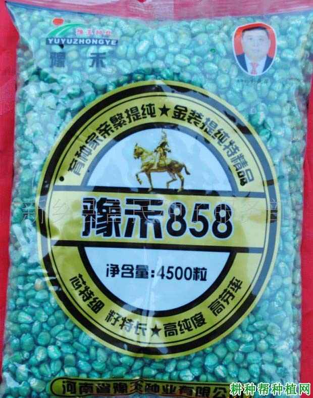 豫禾858玉米品种好不好? 豫禾858玉米品种好不好?