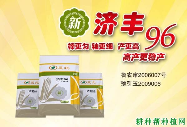 济丰96玉米品种好不好? 济丰96玉米品种好不好?