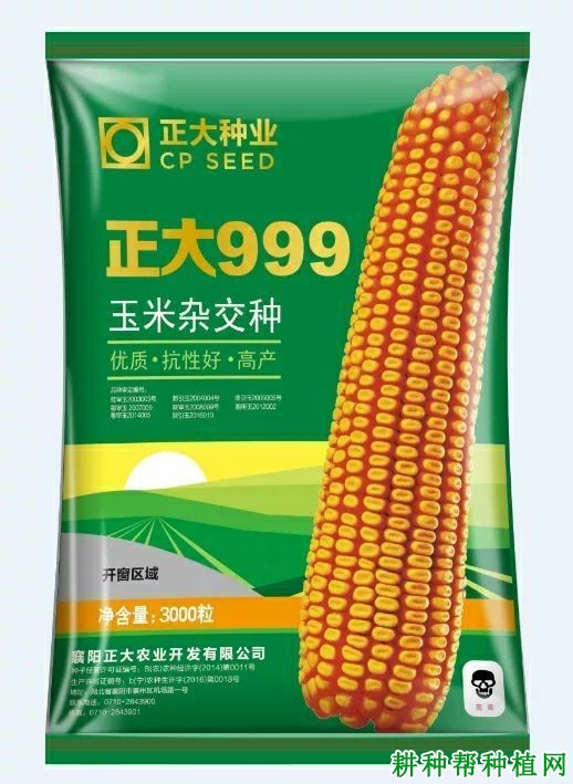 正大999玉米品种好不好? 正大999玉米品种好不好?