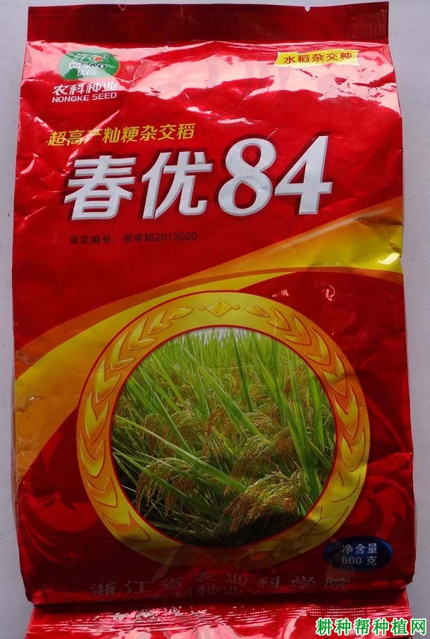 春优84水稻品种好不好? 春优84水稻品种好不好?