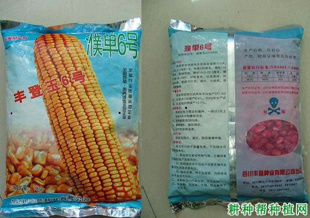 濮单6号玉米品种好不好? 濮单6号玉米品种好不好?