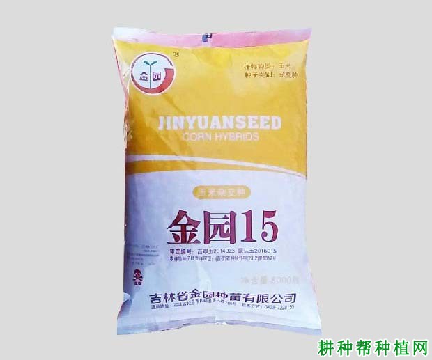 金园15玉米品种好不好? 金园15玉米品种好不好?
