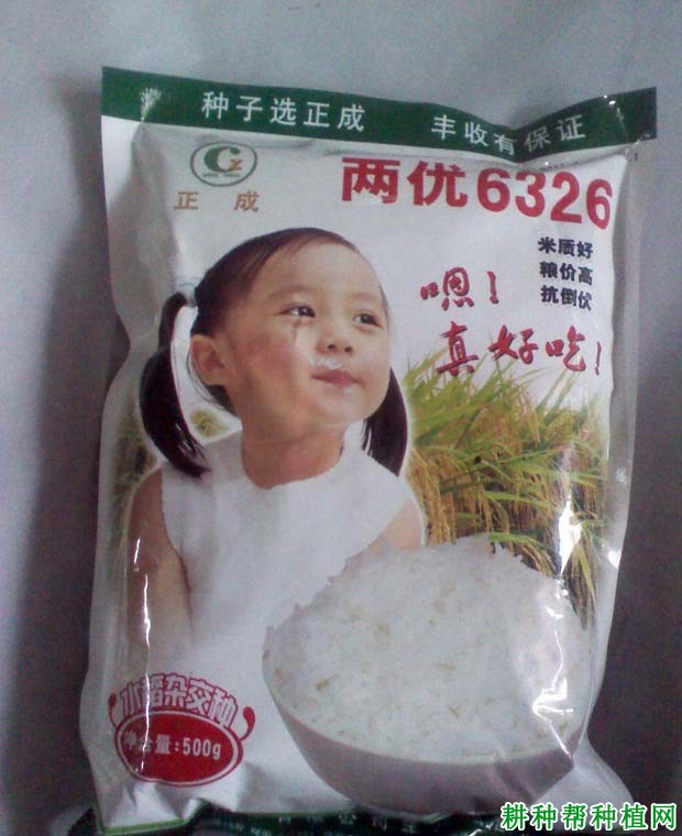 两优6326水稻品种好不好? 两优6326水稻品种好不好?