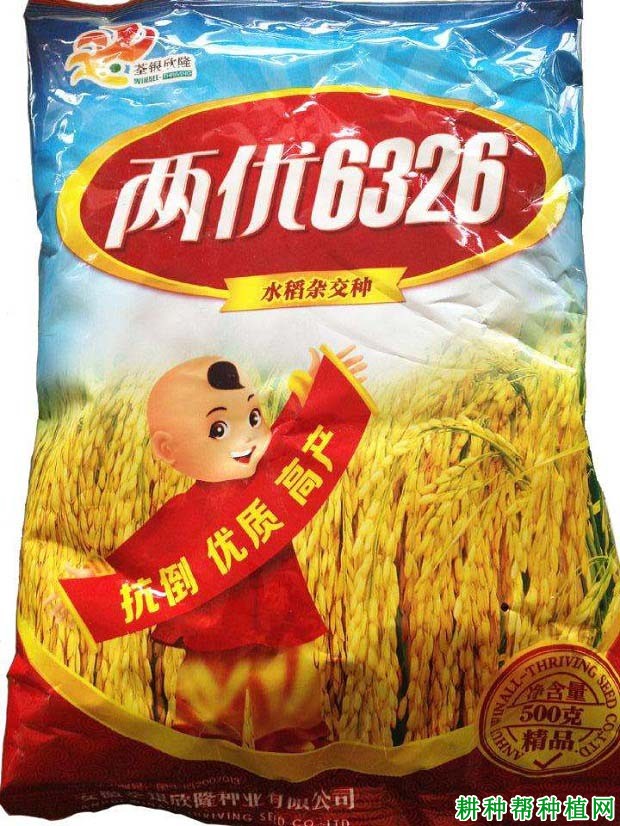 两优6326水稻品种好不好? 两优6326水稻品种好不好?