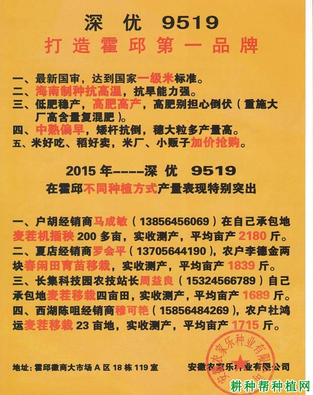 深优9519水稻品种好不好? 深优9519水稻品种好不好?