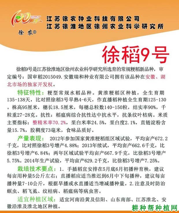 徐稻9号水稻品种好不好？