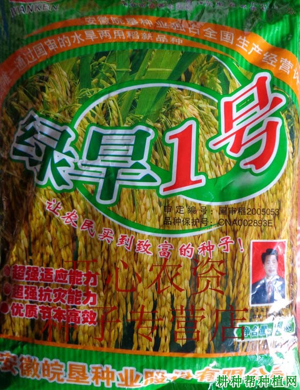 绿旱1号水稻品种好不好? 绿旱1号水稻品种好不好?