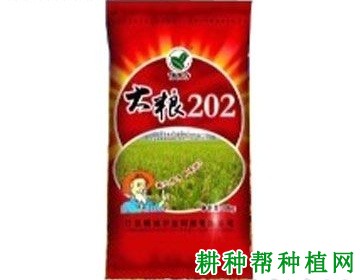 大粮202水稻品种好不好? 大粮202水稻品种好不好?