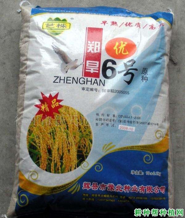 郑旱6号水稻品种好不好? 郑旱6号水稻品种好不好?
