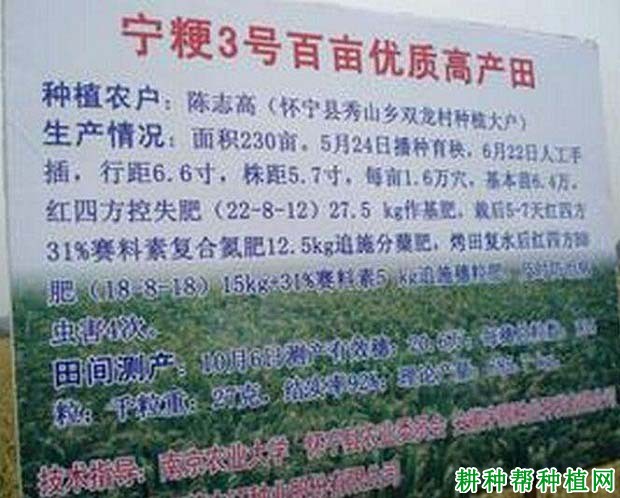 宁粳3号水稻品种好不好? 宁粳3号水稻品种好不好?