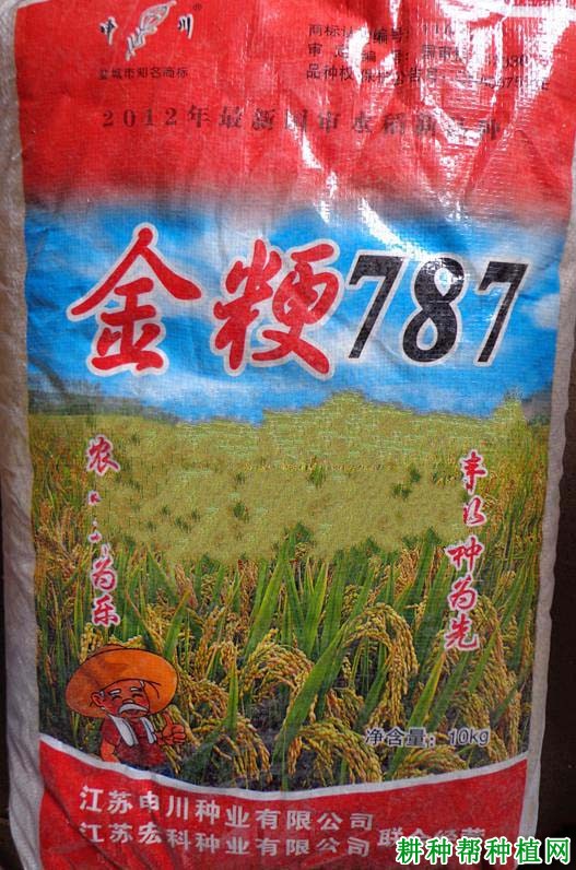 金粳787水稻品种好不好? 金粳787水稻品种好不好?