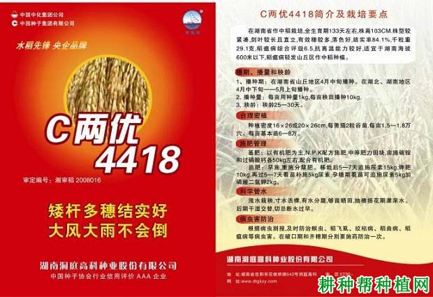 C两优4418水稻品种好不好? C两优4418水稻品种好不好?