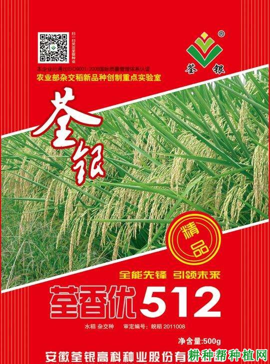 荃香优512水稻品种好不好? 荃香优512水稻品种好不好?
