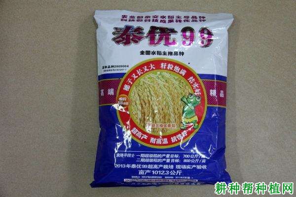 泰优99水稻品种好不好? 泰优99水稻品种好不好?